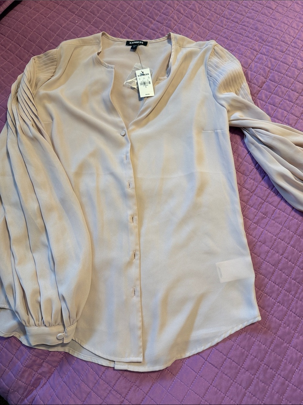 Express Women's Cream Pleated-Sleeve Button Front Blouse